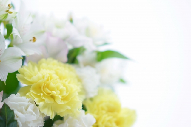 仏花・白い菊の花